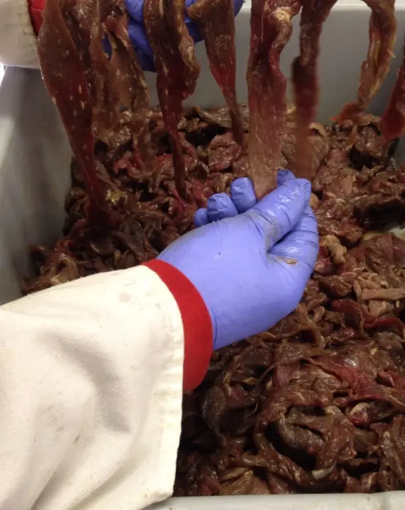 Image of handmade beef jerky